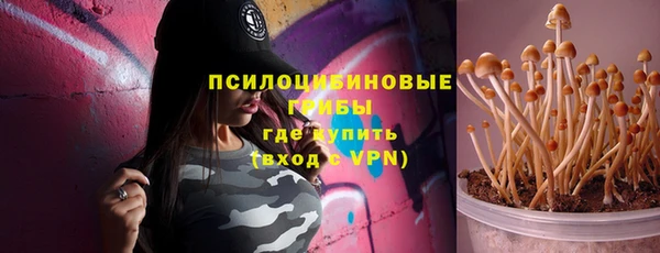 дурь Снежногорск