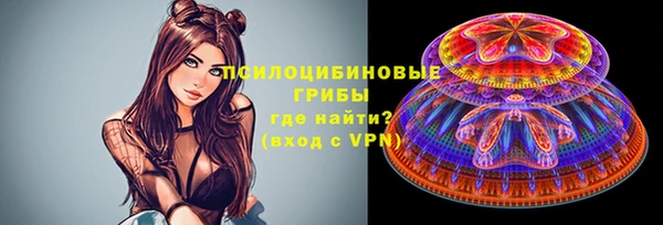 гашик Семёнов