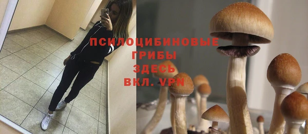 jwh Семилуки